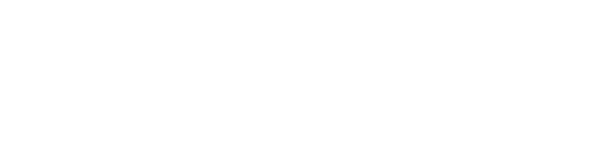 FLUXAIM